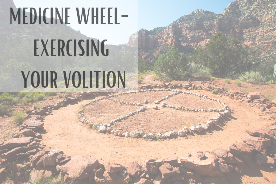 Medicine Wheel- Exercising Your Volition